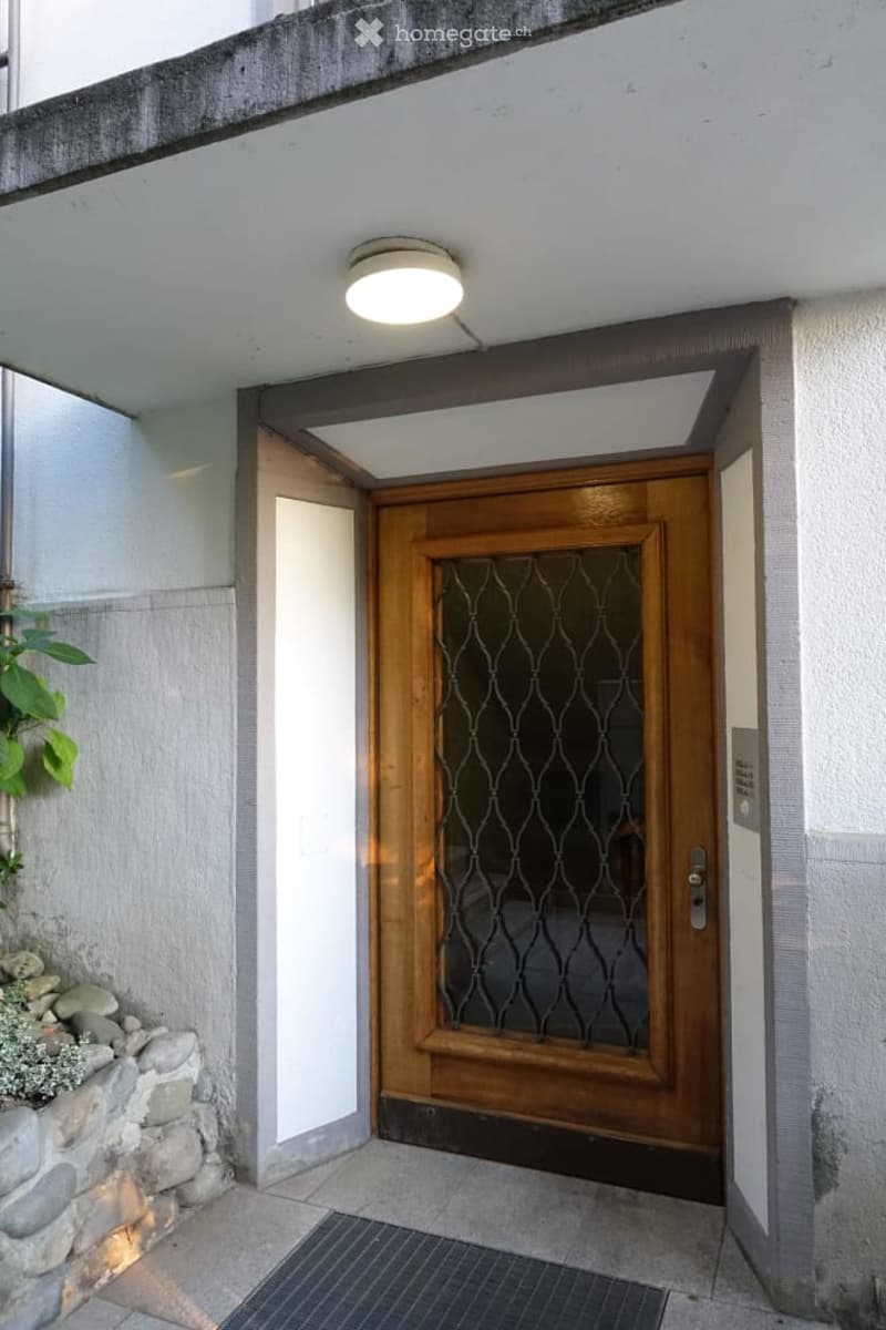 concrete raised ground floor, wooden door with glass panels, light fixture