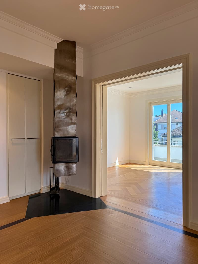 a modern fireplace is visible on a wooden floor, there is also a cabinet with sliding doors and a glass door leading to another room