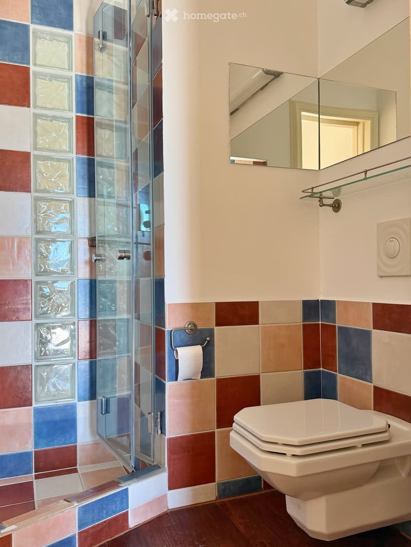 Glass shower with handle, a toilet, a toilet paper roll, mirror, colorful tiles