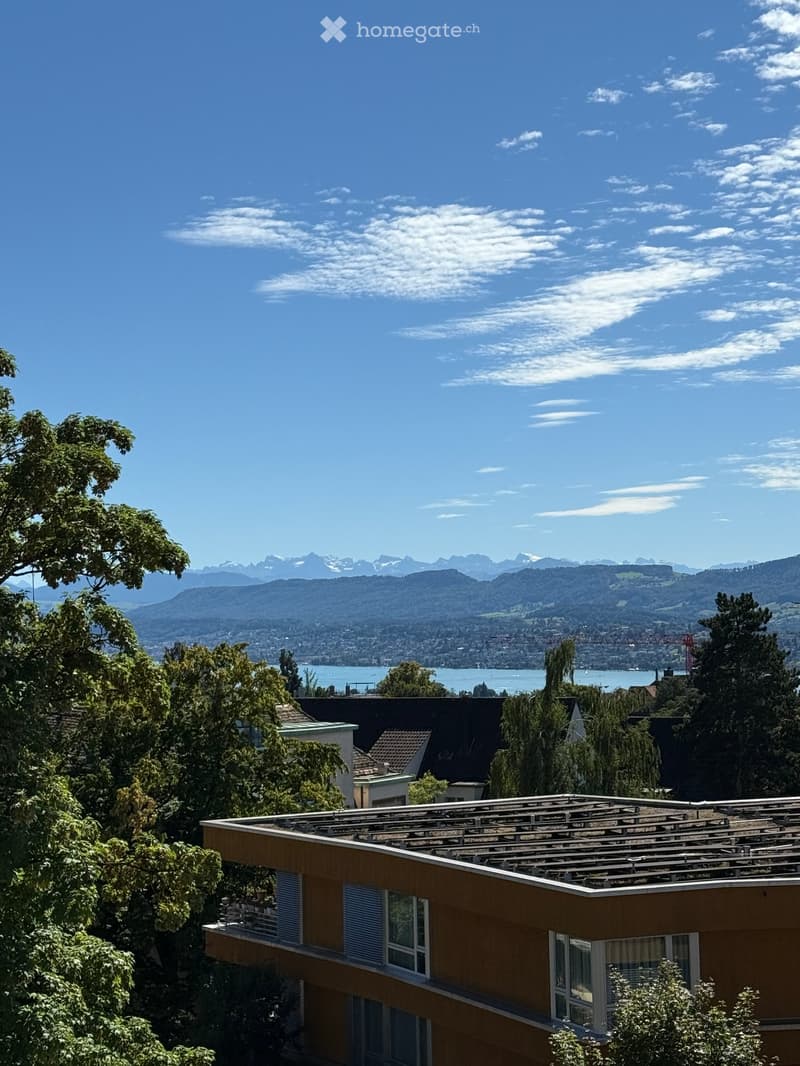 Aerial view of a building with a solar panel roof, located in front of the lake with mountains and city skyline