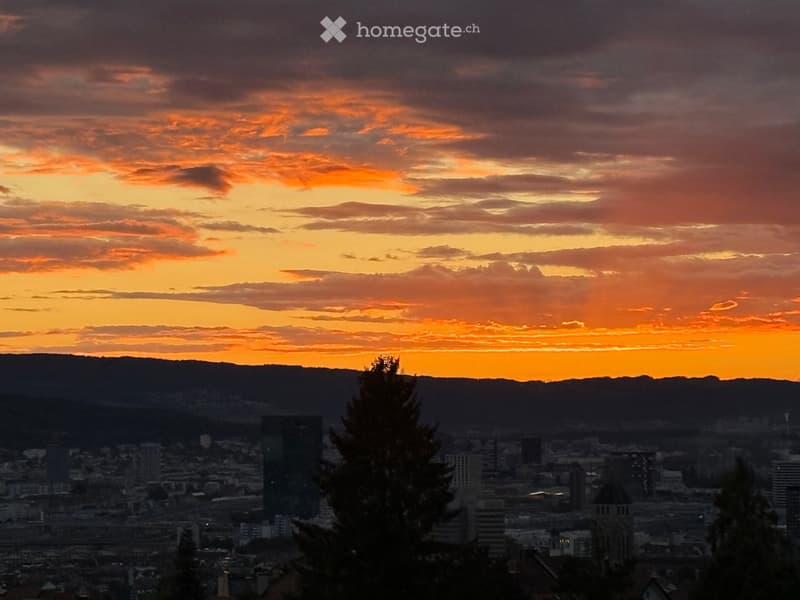Cityscape with city buildings, trees, and mountains in the distance, sunset in the sky