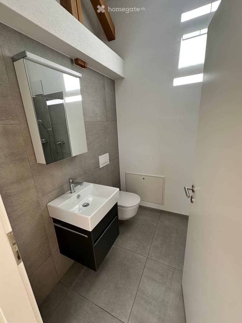 Modern bathroom with a white sink, chrome faucet, toilet, mirrored cabinet, and grey tiled walls and floor.