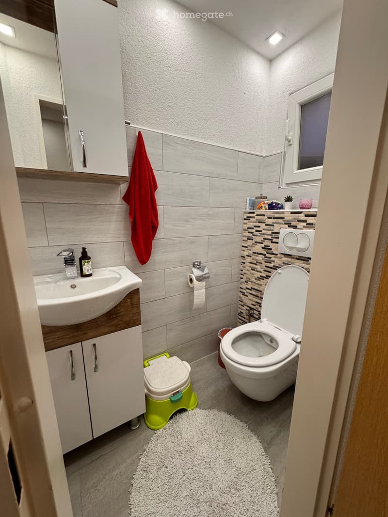 Modern bathroom with a white sink, faucet, toilet, mirror, and cabinet. Features a red towel, a small green stool, and a white shaggy rug on the floor.