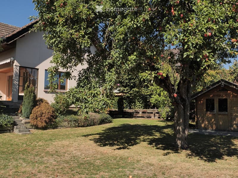 Garden with a large apple tree, wooden shed, lawn, and a house with windows and a covered entrance.