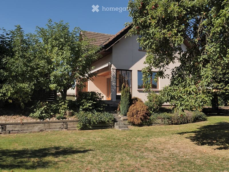 Single-story house with a tiled roof, large windows, and a well-maintained garden with trees and shrubs.