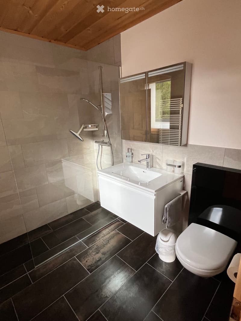 Modern bathroom with dark tiled floor, white sink, mirror, toilet, and shower area.