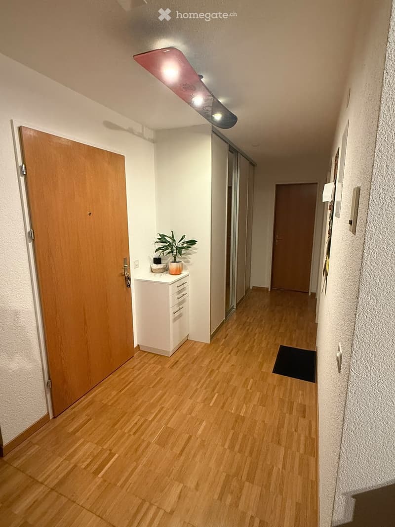 Hallway with wooden flooring, white walls, small cabinet with drawers, and a potted plant on top.