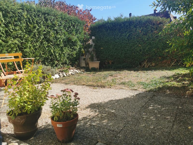 Garden area with gravel ground, two potted plants, and a wooden folding chair.