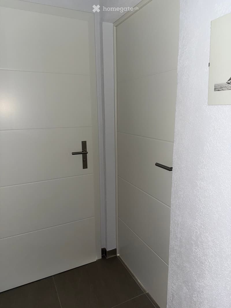 A narrow hallway with white walls, dark tiled floor, and two doors: one solid white door and one glass-paned door.