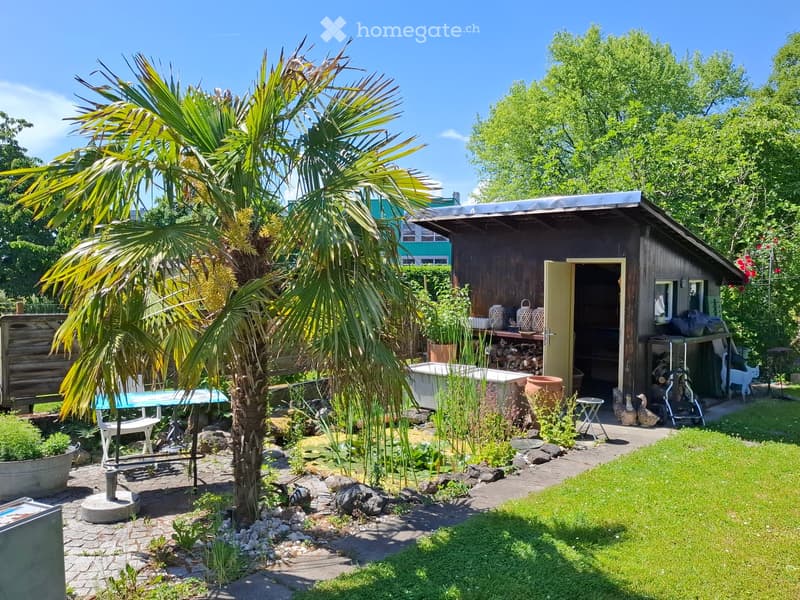 A well-maintained garden with a wooden shed, palm tree, patio furniture, and decorative items.
