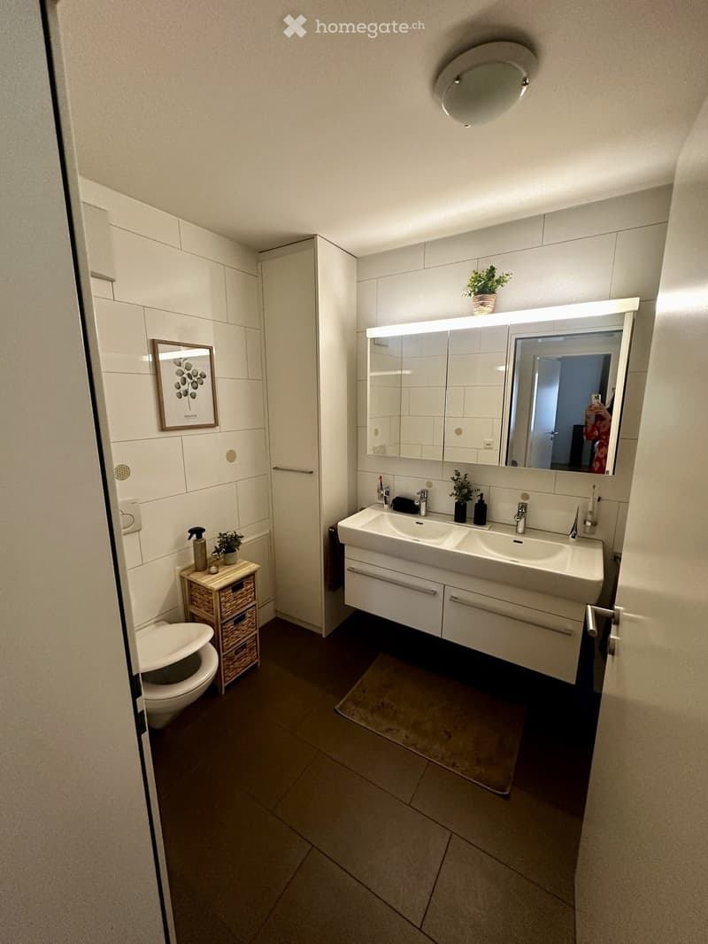 Modern bathroom with double sink, large mirror, toilet, and small cabinet. Features tiled walls, wooden floor, and decorative elements including a framed picture and small plants.