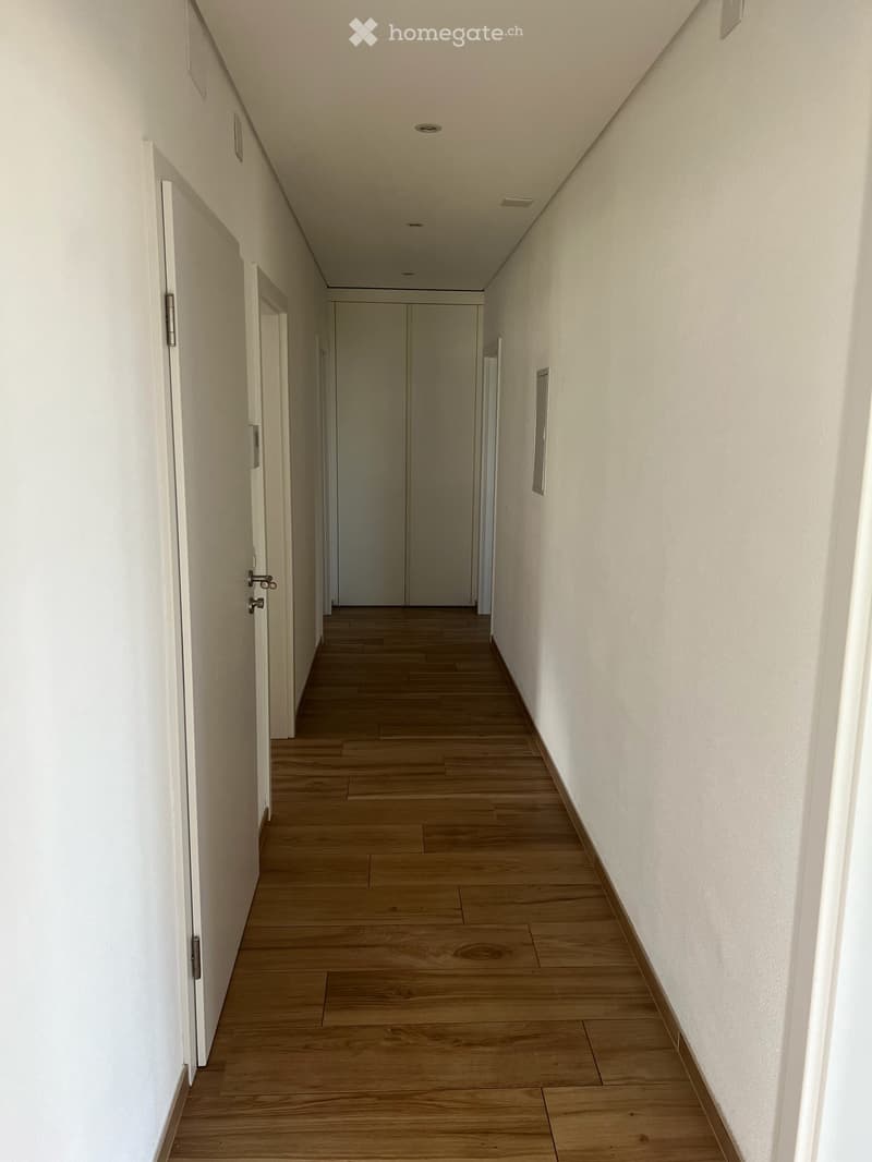 Affitasi 4.5 Camorino vista mozzafiato (7)