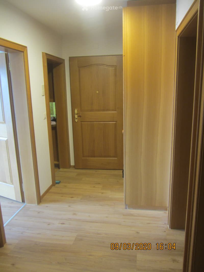 Empty hallway with wooden flooring and several closed wooden doors, natural lighting from the left side.
