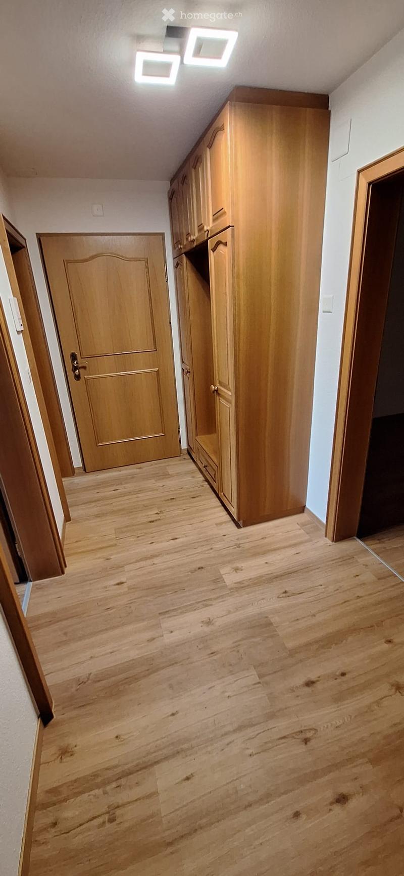 A narrow hallway with wooden flooring, light-colored walls, and built-in wooden cabinets on one side. The hallway features several wooden doors and recessed ceiling lighting.