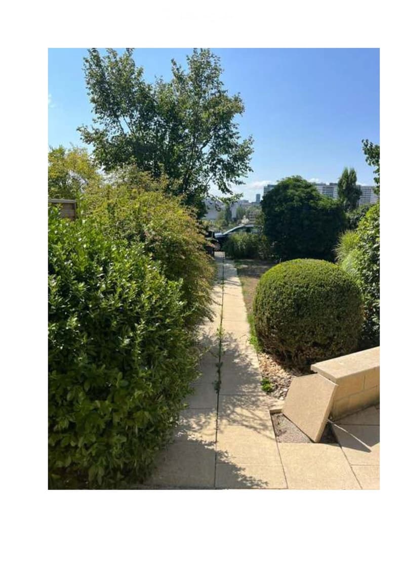 A narrow garden pathway lined with greenery and shrubs, leading to a building entrance.
