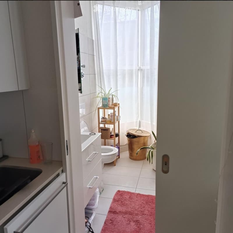 Bathroom with a sink, toilet, shower curtain, wooden shelf, trash bin, plant, and a red rug on the floor.