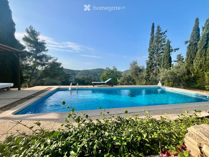 A rectangular swimming pool with clear blue water, surrounded by a stone deck, lounge chairs, and lush greenery with tall trees in the background.
