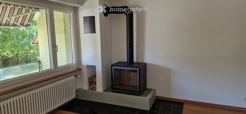 Modern living room with a black wood-burning fireplace, radiator, large window with blinds, and wooden flooring.