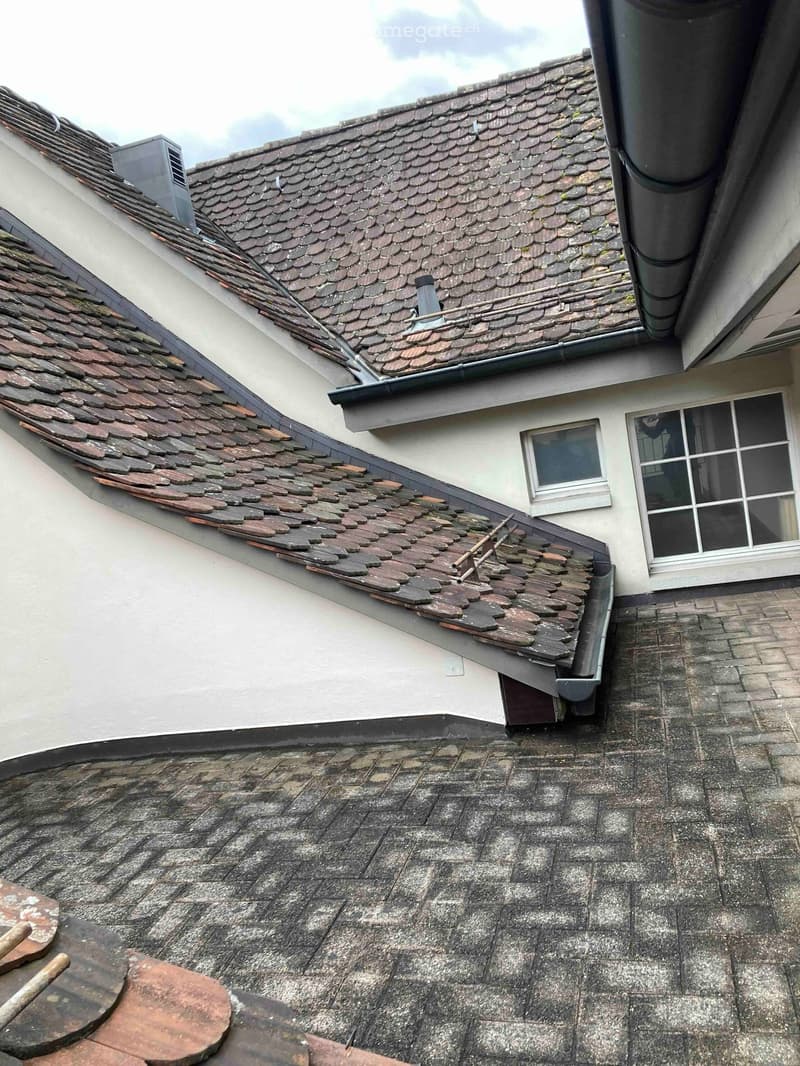 Roof with red tiles, visible chimney, and a small section of the building's exterior wall with windows.