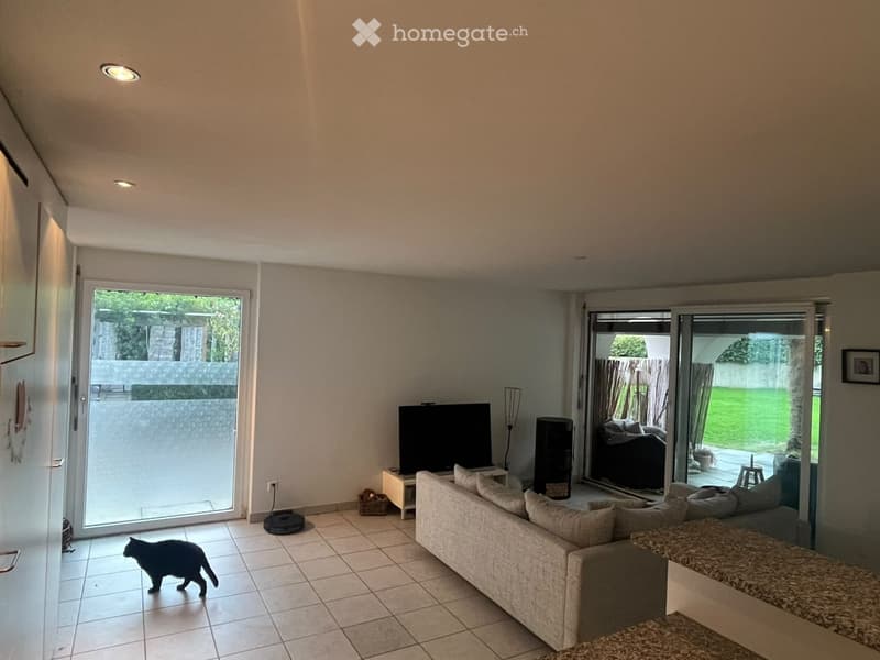 Modern living room with large sliding glass doors leading to a patio, a grey sofa, a small table, a television, and a cat walking on the tiled floor.