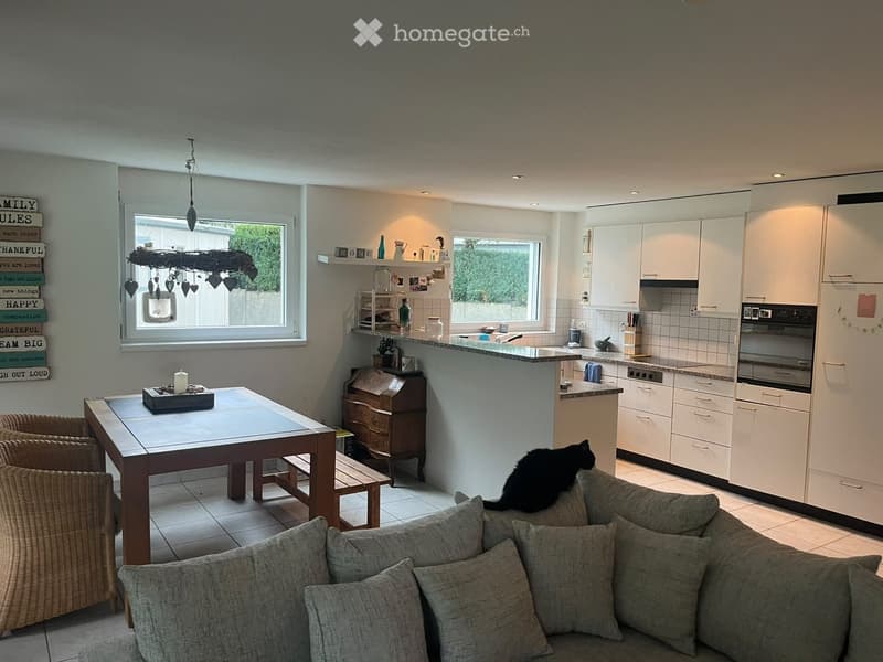 A modern, open-plan living and dining area with a grey sofa, wooden dining table, wicker chairs, and a kitchen with white cabinets and stainless steel appliances.