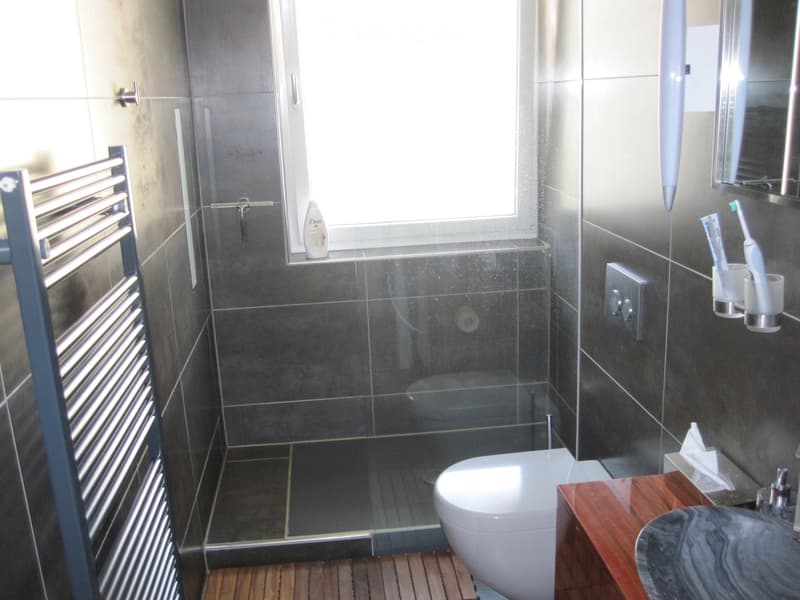 Modern bathroom with dark tiled walls, a glass-enclosed shower, a white toilet, a wooden sink, and a towel rack.