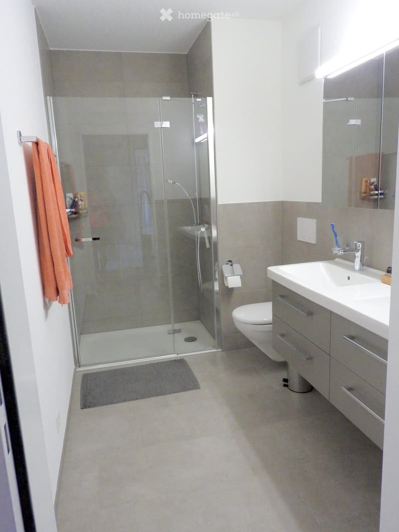 Modern bathroom with a glass-enclosed shower, a white sink with a modern faucet, a toilet, a mirror, and a towel hanging on the wall.