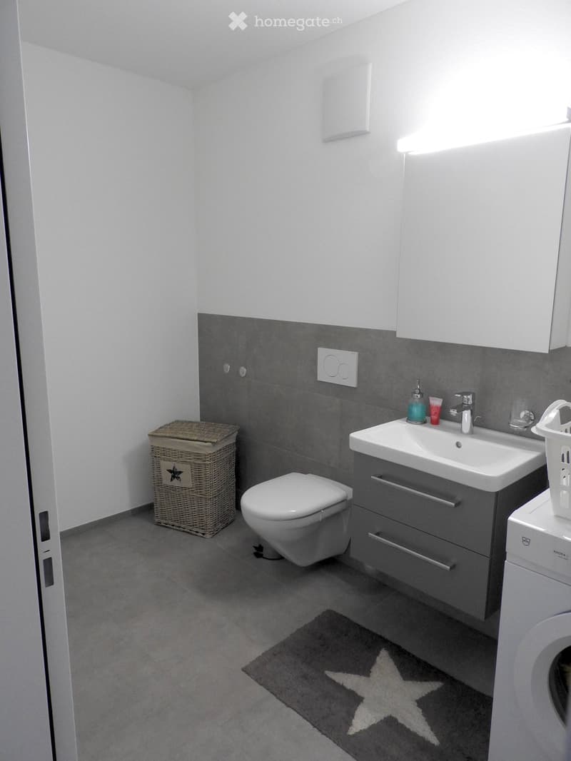 Modern bathroom with white walls, grey tiles, a sink with a faucet, a toilet, a wicker basket, a washing machine, and a grey rug with a star design.