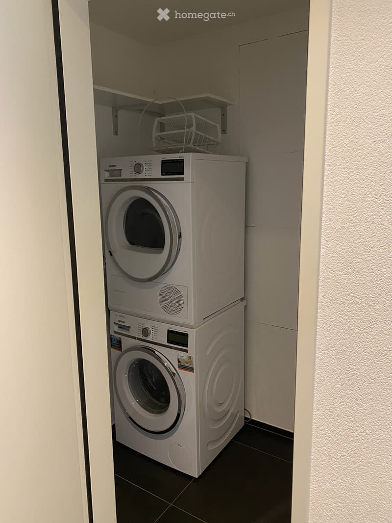 Exklusive 4.5-Zimmer-Wohnung mit 36 m² Sonnenterrasse (6)