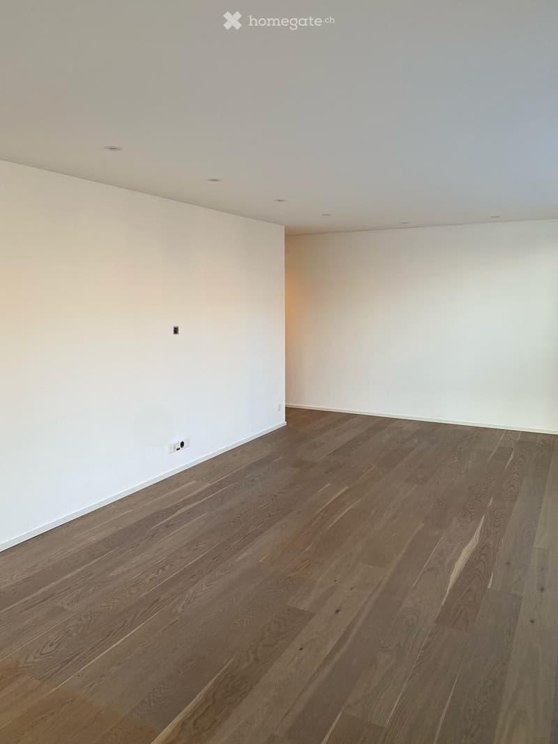 Exklusive 4.5-Zimmer-Wohnung mit 36 m² Sonnenterrasse (8)