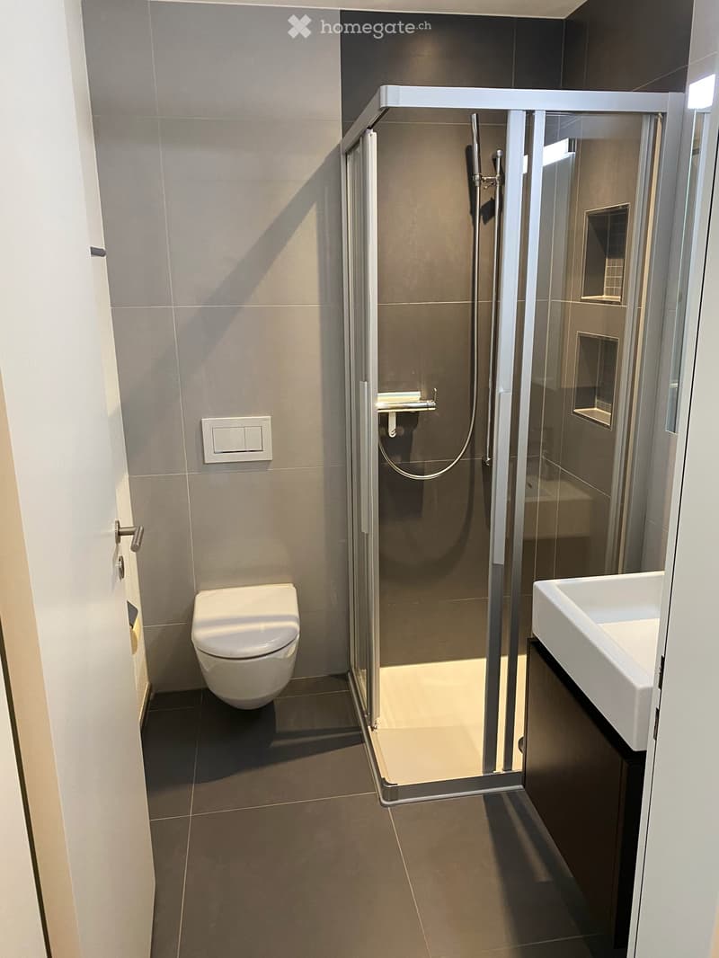 Exklusive 4.5-Zimmer-Wohnung mit 36 m² Sonnenterrasse (14)