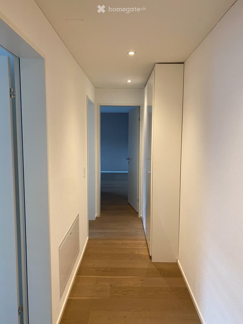Exklusive 4.5-Zimmer-Wohnung mit 36 m² Sonnenterrasse (10)