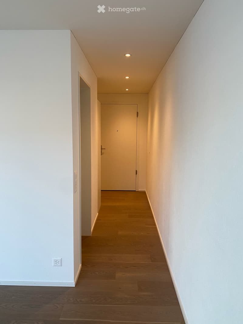 Exklusive 4.5-Zimmer-Wohnung mit 36 m² Sonnenterrasse (9)