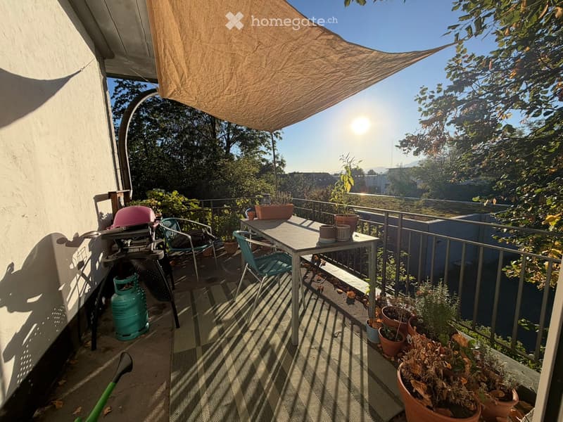 Balcony with a table, chairs, grill, and potted plants, shaded by a canopy, overlooking a green area.