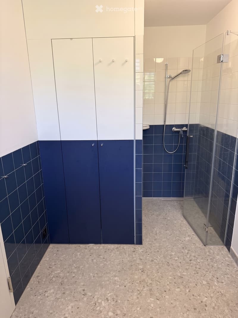 Modern bathroom with a glass-enclosed shower area, dark blue tiles, and white cabinets.