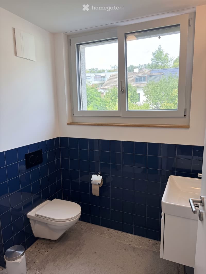 Modern bathroom with dark blue tiles, white toilet, sink, and a window offering a view of the neighborhood.