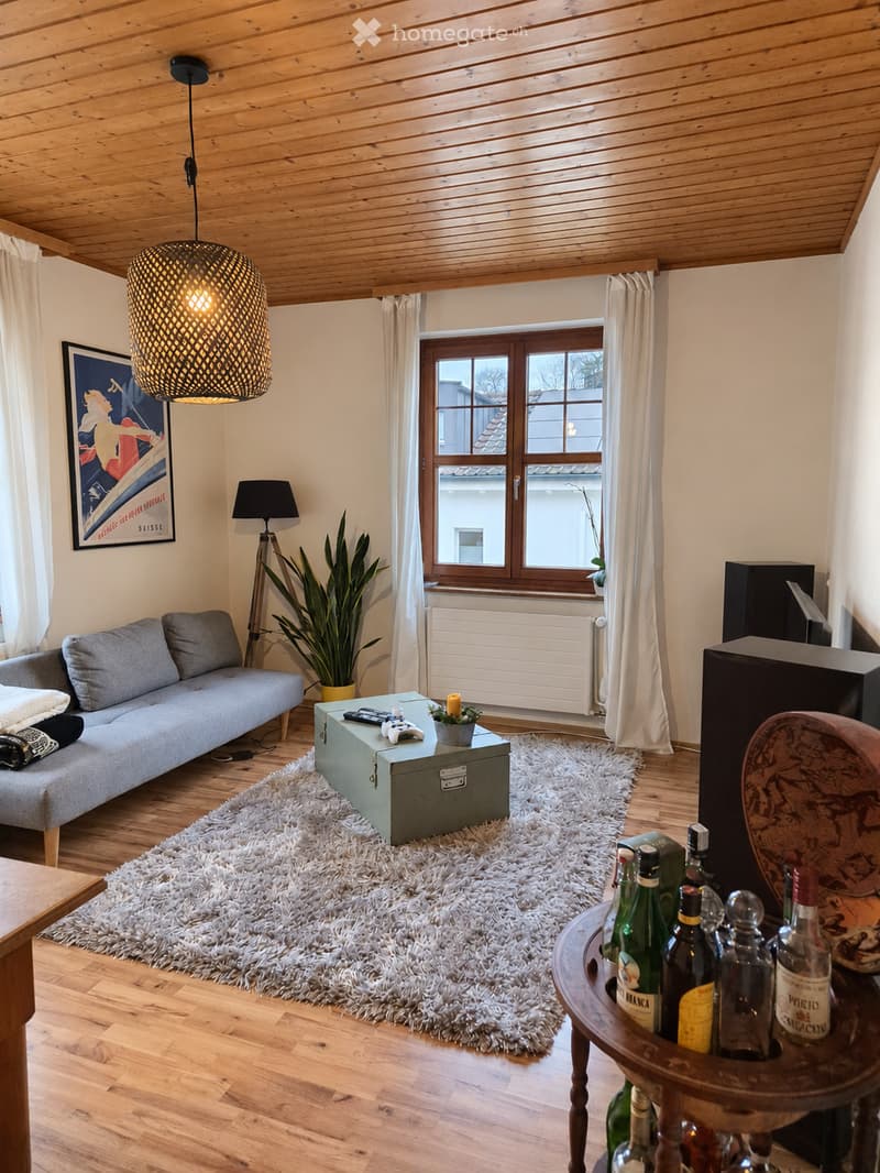 Cozy living room with wooden floors, a grey sofa, a coffee table, a large shaggy rug, a pendant light, and a plant near the window.
