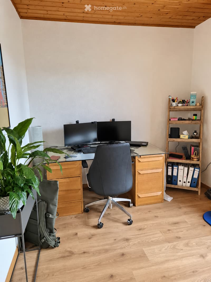 A modern, well-lit office space with a wooden floor, a large desk with two computer screens, a comfortable office chair, a wooden shelving unit, and a potted plant. The room features a sleek, minimalist design with natural light and organized storage.