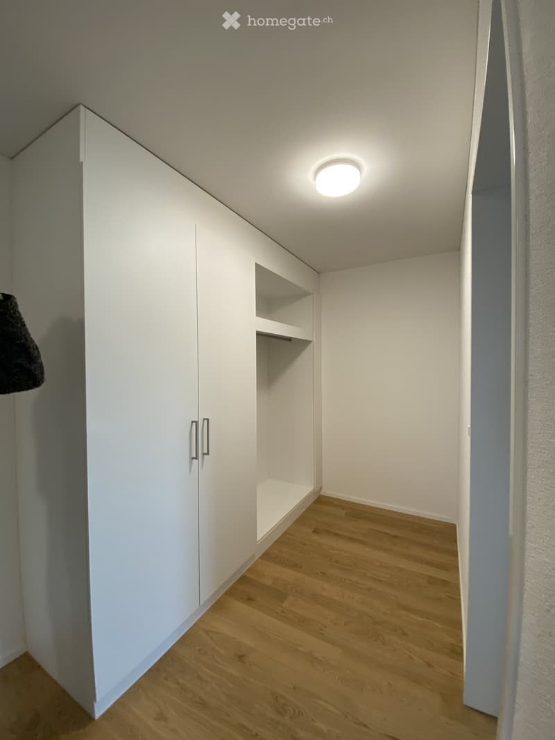 Empty room with white walls, wooden floor, built-in white closet with shelves, and a ceiling light fixture.