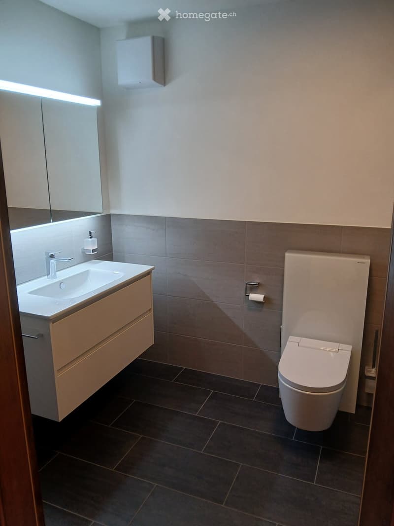 Modern bathroom with a white sink, silver faucet, beige cabinet, and a white toilet with a built-in seat. Grey tiles on lower walls and dark tiles on the floor.