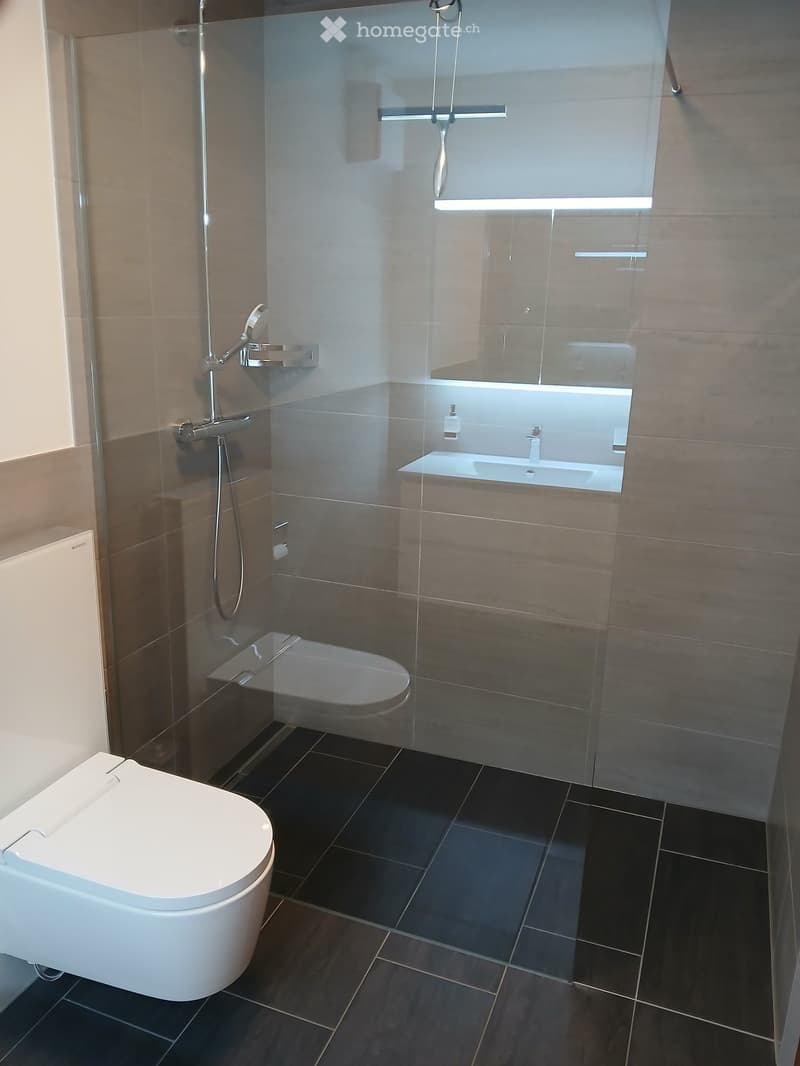 Modern bathroom with dark tiled floor, white toilet, glass-enclosed shower, and built-in sink with faucet.