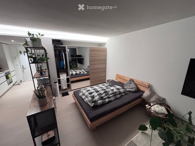 Modern, compact bedroom with a wooden bed, mirror wardrobe, small table, and plants.