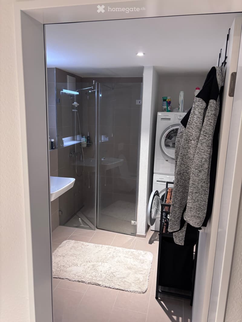 Modern bathroom with a glass-enclosed shower, a white sink, a washing machine, and a fluffy white rug on the floor.