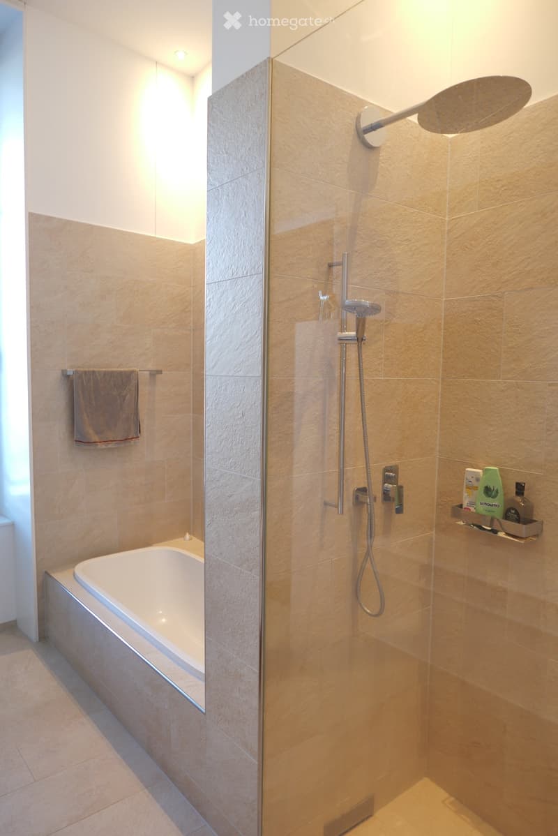 Modern bathroom with a bathtub, glass-enclosed shower, towel rack, and shower shelf holding toiletries.