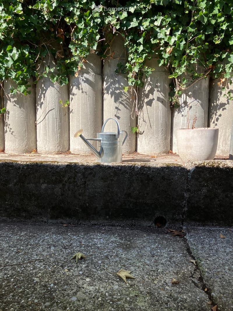 A small garden area with a watering can and a flower pot placed on a concrete ledge, surrounded by ivy-covered walls and a gravel ground.