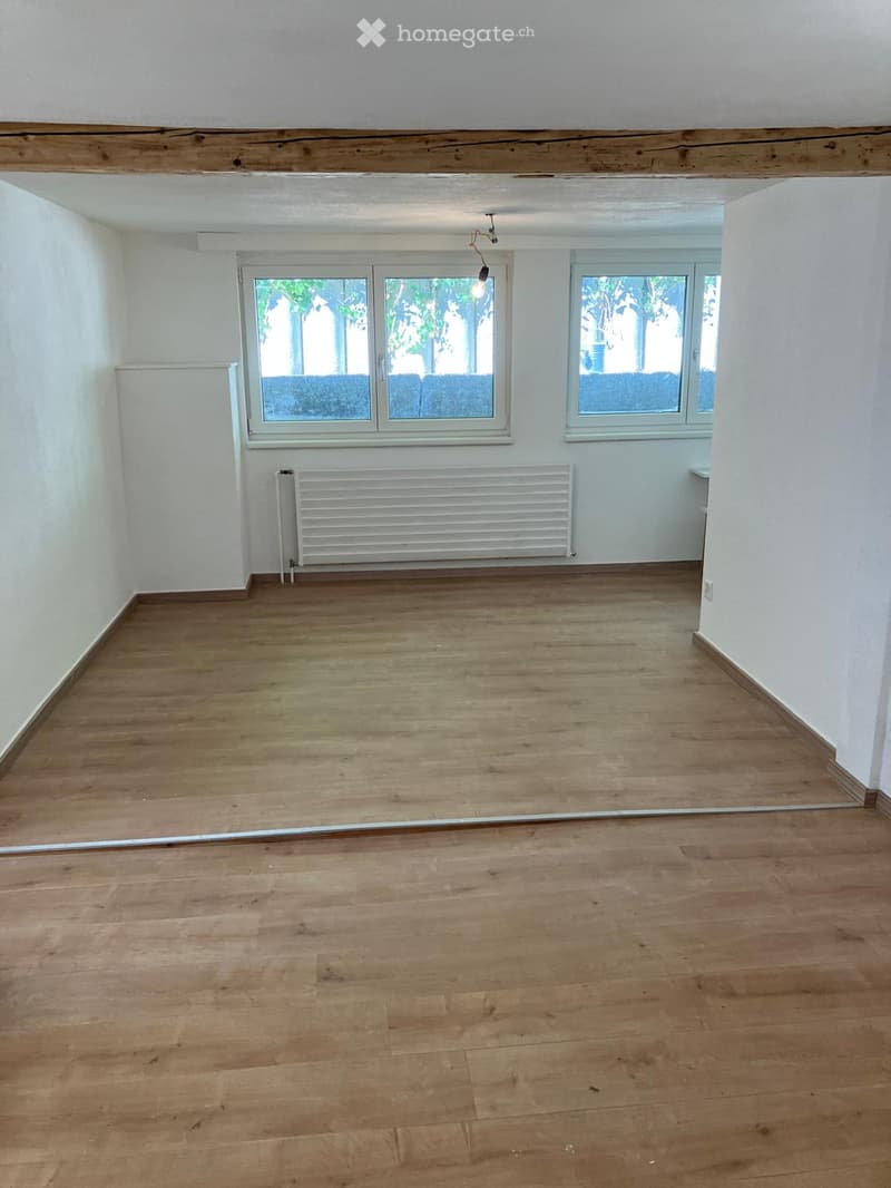 Empty room with wooden flooring, white walls, and large windows with a view of greenery outside. A radiator is visible on one wall.
