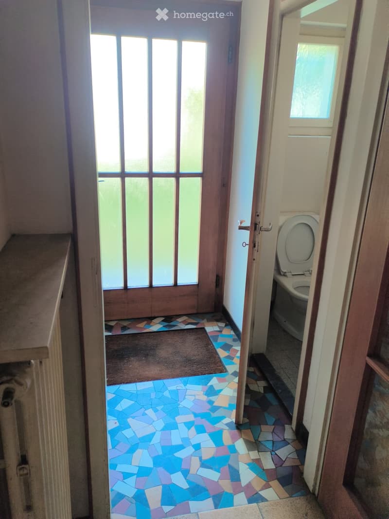 Hallway with colorful mosaic tile flooring, a wooden door with glass panels leading outside, and a small rug placed in front of the door. A toilet is visible in an adjacent room.