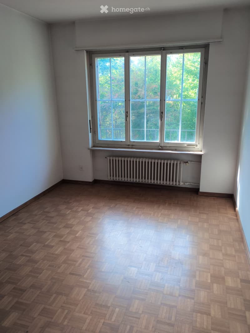 Empty room with wooden herringbone flooring, white walls, large window with white frame, radiator below window, and visible electrical outlet on wall.