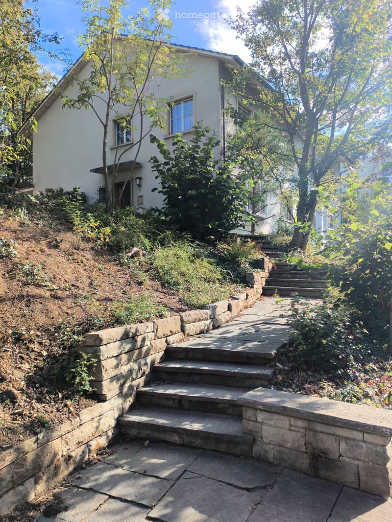 A stone pathway leads up a set of steps to a house, surrounded by greenery and trees.