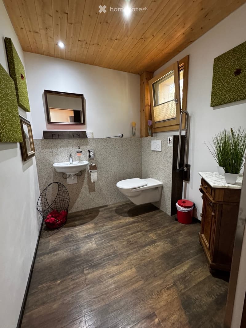 Bathroom with wooden flooring, a sink, toilet, mirror, and a small cabinet with a plant on top. The walls are white with a granite-like finish around the sink and toilet area.